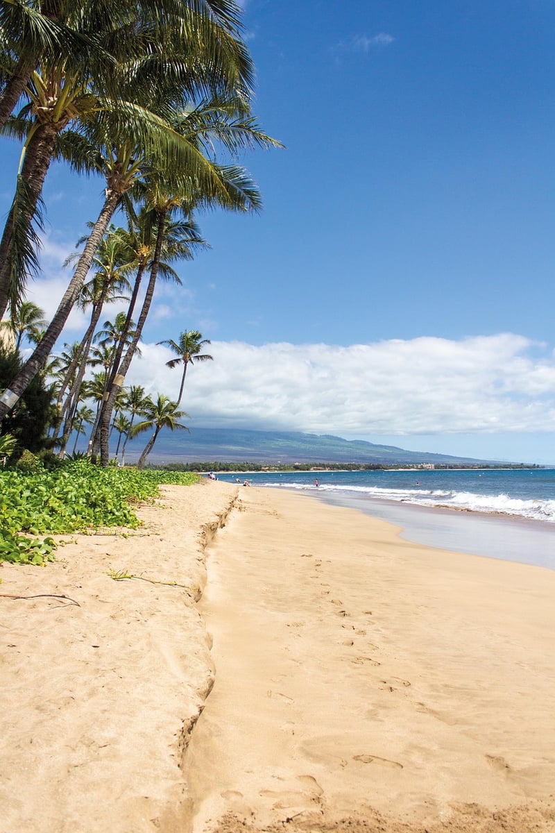 Maui Beach